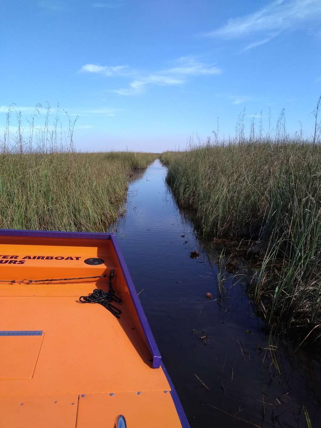 Alligator Alley Butterfly View | Unnamed Road, Tamarac, FL 33321, USA