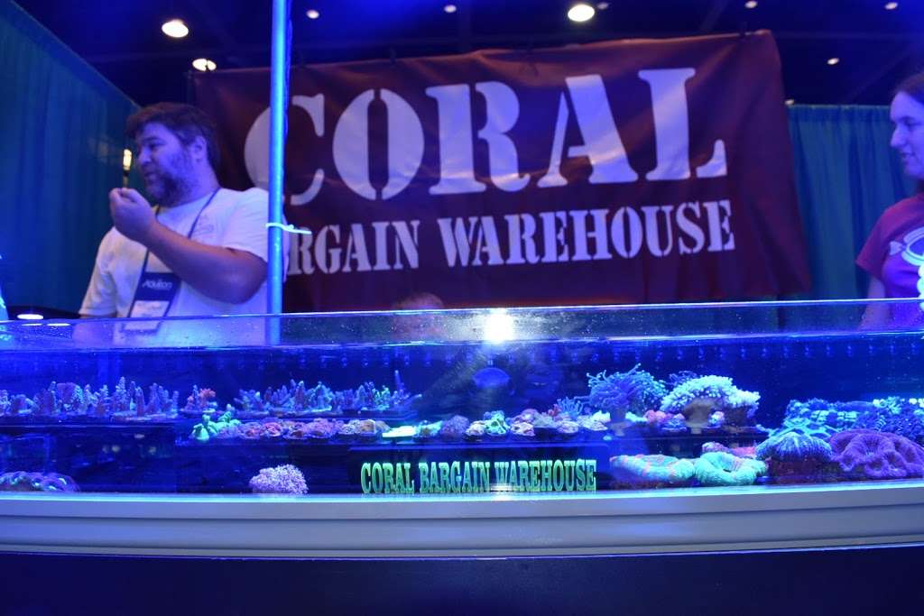 Coral Bargain Warehouse | 3407 Cleveland Heights Blvd, Lakeland, FL 33803, USA | Phone: (863) 940-3750