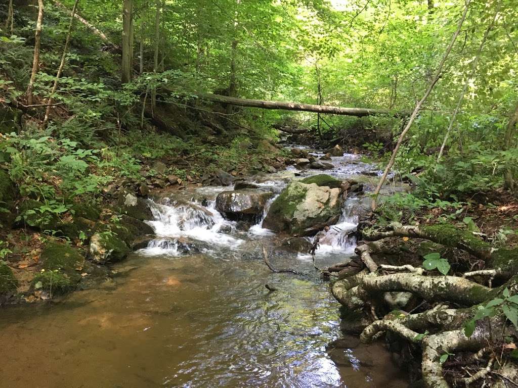 Texter Mountain Preserve | 78-198 Deer Rd, Robesonia, PA 19551, USA | Phone: (717) 392-7891