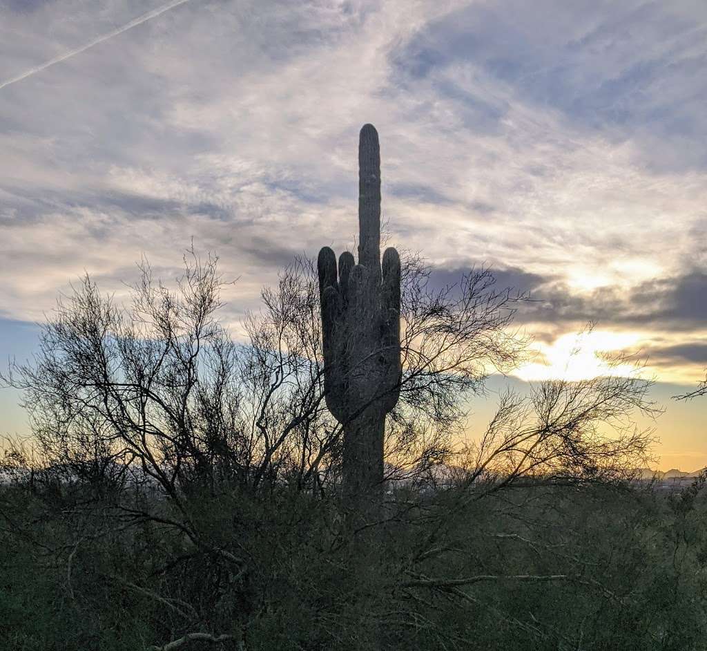 McDowell Sonoran Preserve | 18333 N Thompson Peak Pkwy, Scottsdale, AZ 85260 | Phone: (480) 998-7971