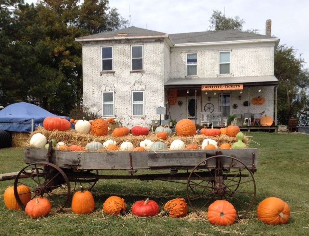 MULBERRY POND | 2252 Mulberry Road Just 1/2 mile South of 36 Highway, Hiawatha, KS 66434, USA | Phone: (785) 741-1725