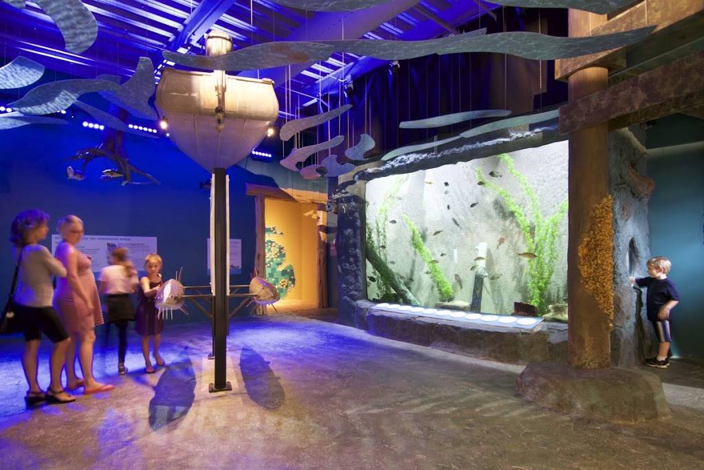 Titan Aquatic Exhibits | 6532 W Flint St Suite #1, Chandler, AZ 85226, USA | Phone: (480) 588-6815