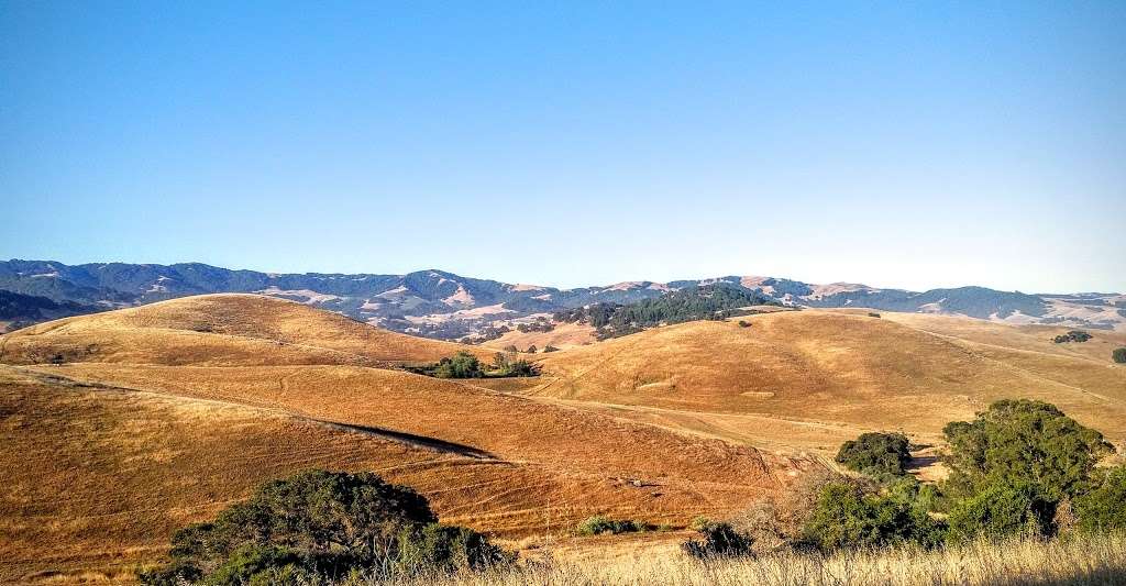 Helen Putnam Regional Park | 411 Chileno Valley Rd, Petaluma, CA 94952 | Phone: (707) 539-8092