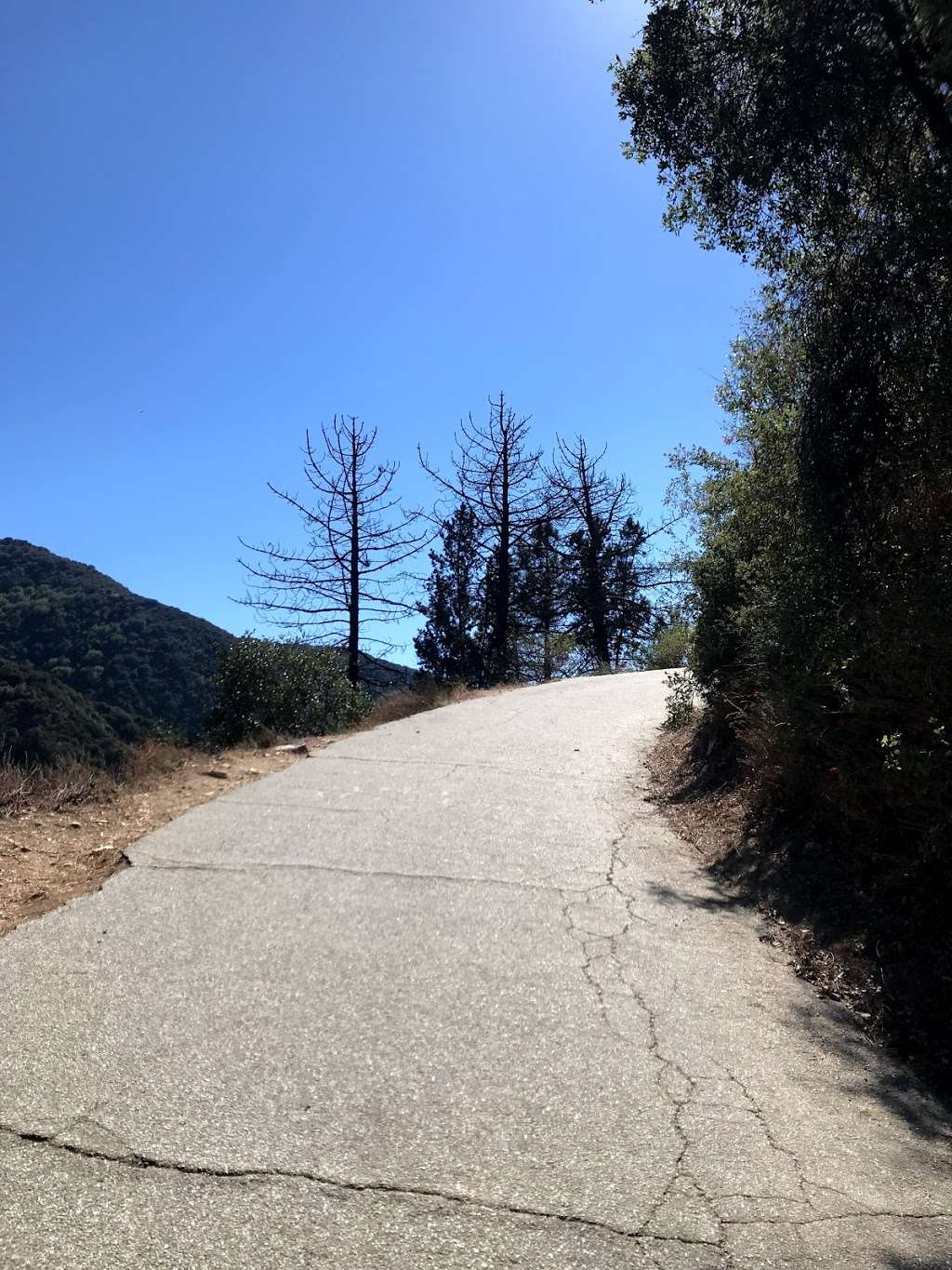 Chantry Flats Parking Lot and Trail Head | Chantry Flats Rd, Arcadia, CA 91006, USA | Phone: (626) 574-1613