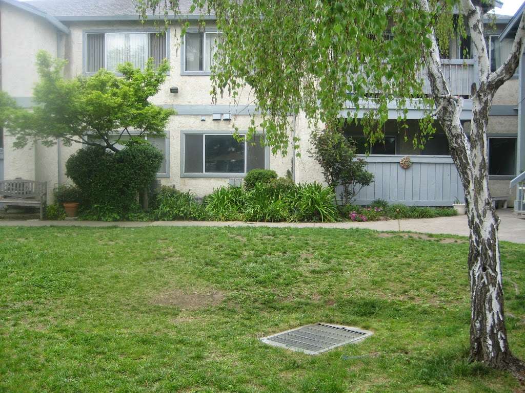 Pacheco Adobe Apartments | 50 Arthur Rd, Martinez, CA 94553, USA | Phone: (925) 812-3010