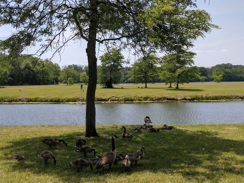 Big Bend Lake | Southeast River Road, Des Plaines, IL 60016, USA