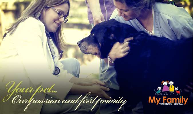 My Family Veterinary Hospital | 17710 Elgin Rd, Poolesville, MD 20837, USA | Phone: (301) 349-4790