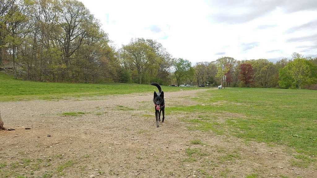 Sheepfold Dog Park | Fells Path, Stoneham, MA 02180 | Phone: (617) 727-1199 ext. 406