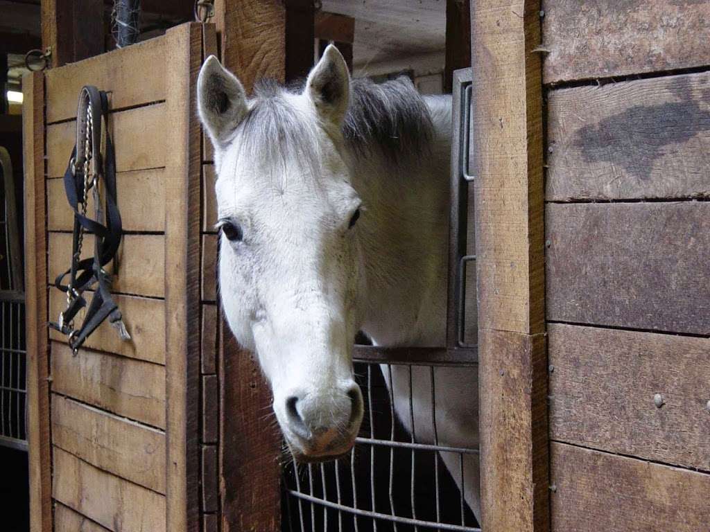 West Point FMWR Morgan Farm Riding Stables and Kennel | 2026 Morgan Farm Rd, Highland Falls, NY 10928, USA | Phone: (845) 938-3926