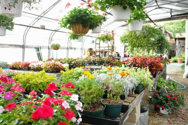 Village Nurseries | 818 Old York Rd, East Windsor, NJ 08520, USA | Phone: (609) 448-0436