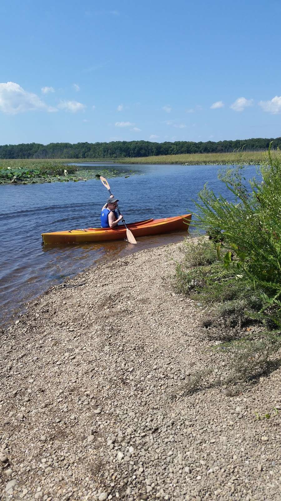 Mattawoman State Natural Environmental Area | Indian Head, MD 20640, USA