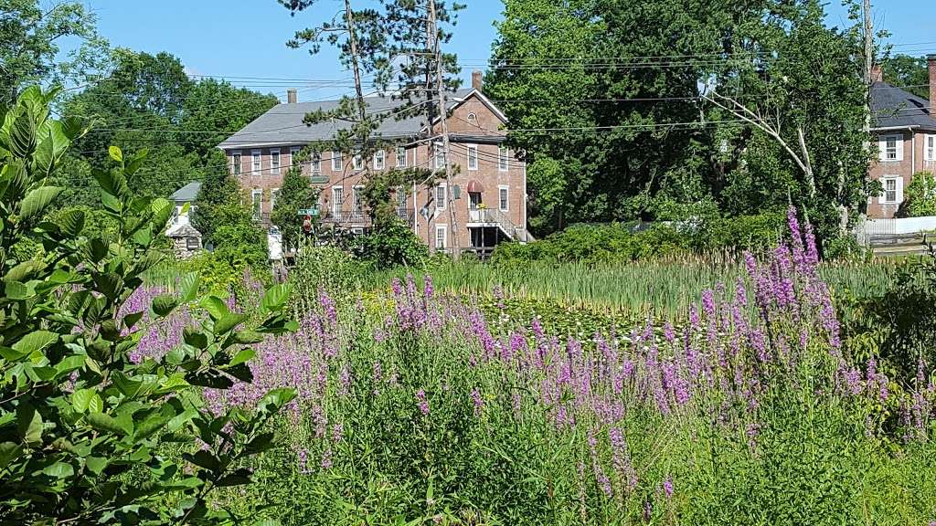 Peaceful Pond | Uxbridge, MA 01569, USA