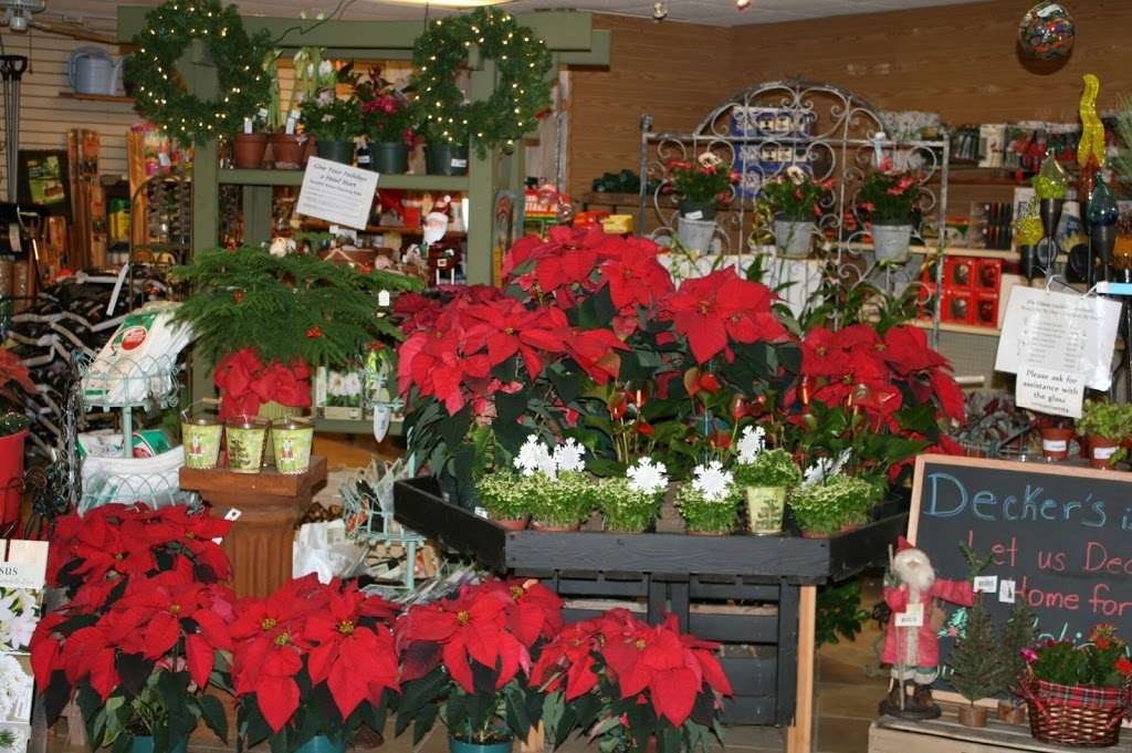 Deckers Nursery | 841 Pulaski Rd, Greenlawn, NY 11740, USA | Phone: (631) 261-1148