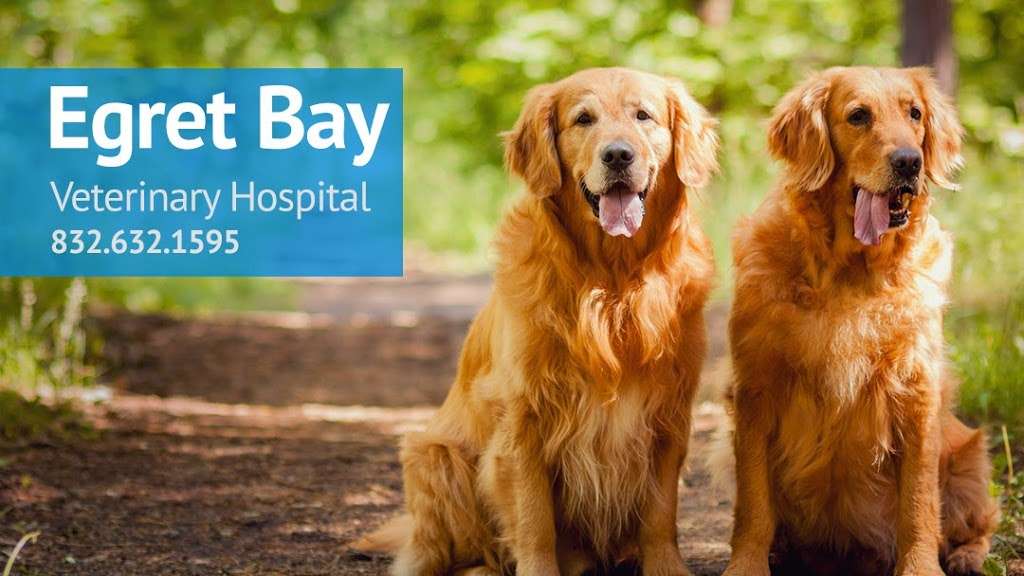Egret Bay Veterinary Hospital | 1260 E League City Pkwy #1000, League City, TX 77573 | Phone: (832) 632-1595