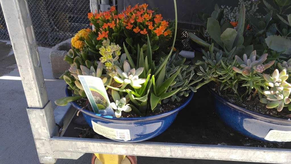 Lowes Garden Center | 14333 Bear Valley Rd, Victorville, CA 92392, USA | Phone: (760) 949-9565