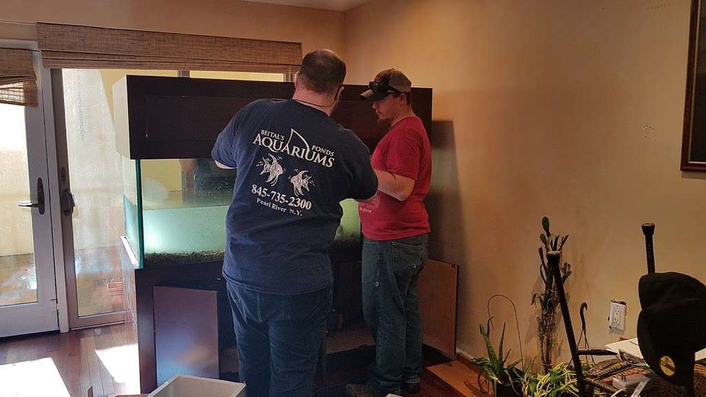 Beitals Aquariums Sales, Services & Ponds | 73 S Pearl St, Pearl River, NY 10965 | Phone: (845) 735-2300