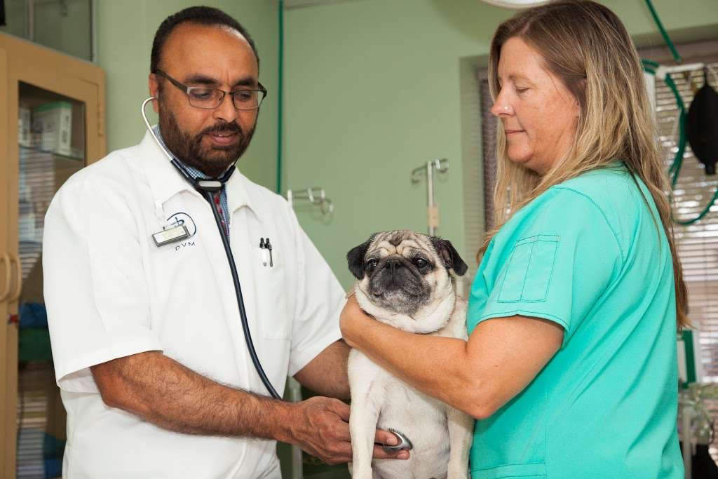 West Allis Veterinary Clinic | 11504 W Greenfield Ave, West Allis, WI 53214, USA | Phone: (414) 453-4344