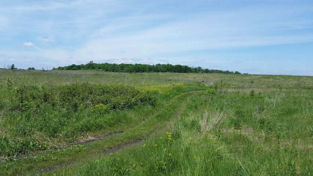 Margaret Pearson Interpretive Trail | Pine St, Batavia, IL 60510