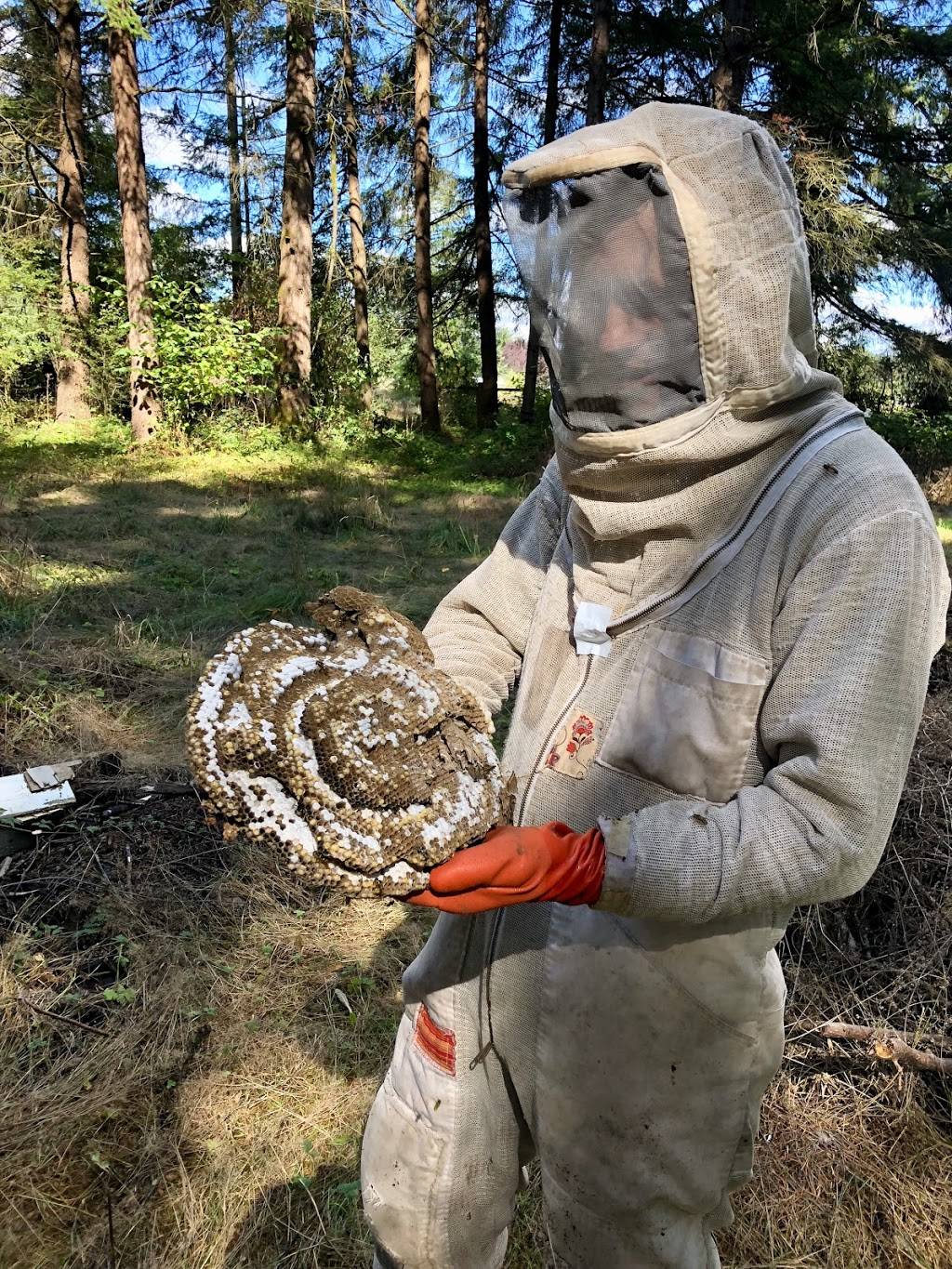 Portland Natural Bee Removal | 3806 SE 34th Ave, Portland, OR 97202, USA | Phone: (503) 451-0595