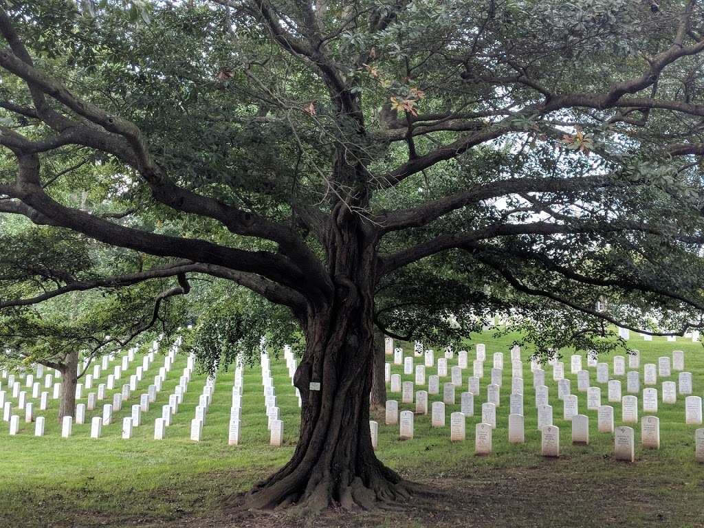 Washington National Cemetery | 4101 Suitland Rd, Suitland-Silver Hill, MD 20746, USA | Phone: (301) 568-5250