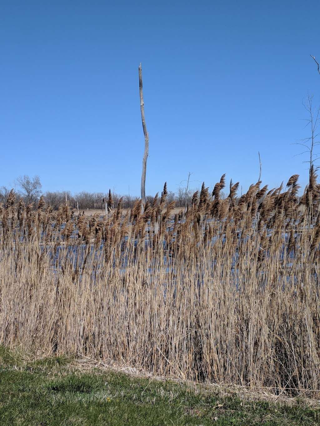 Highlands Heron Rookery | 41°3336. 87°2628, 3, W 7th Ave, Highland, IN 46402