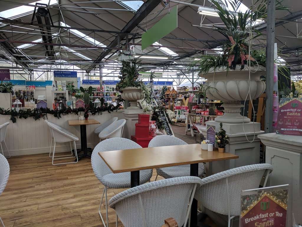 Ongar, a Wyevale Garden Centre | Langford Court, Ongar Rd, Kelvedon Hatch, Brentwood CM15 0LB, UK | Phone: 0844 288 5704