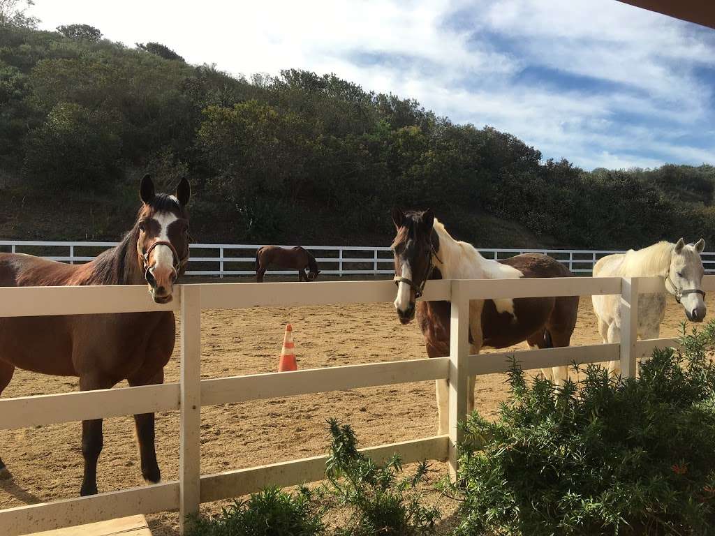 South Coast Equestrian | 5275 Del Mar Mesa Rd, San Diego, CA 92130, USA | Phone: (858) 442-2569