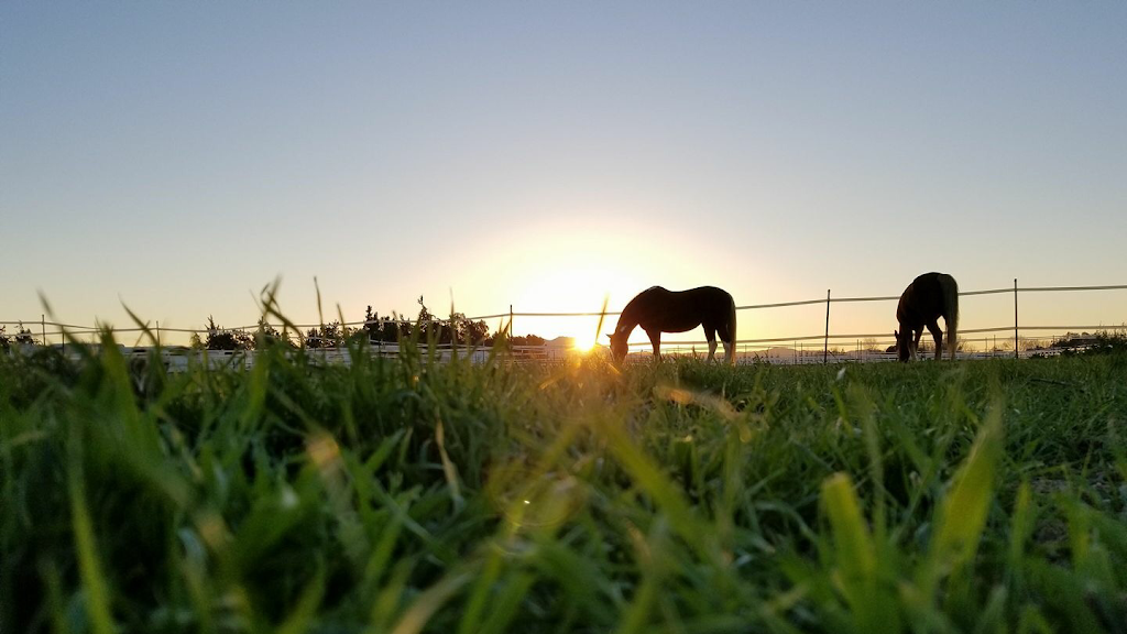 Brentwood Equestrian Center | 2300 Cumming Rd, Brentwood, CA 94513, USA | Phone: (925) 595-4030