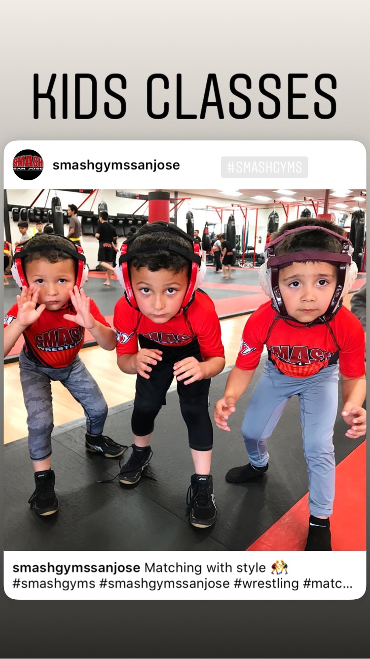 Smash Gyms Mountain View | 223 Moffett Blvd, Mountain View, CA 94043, USA | Phone: (650) 386-6925