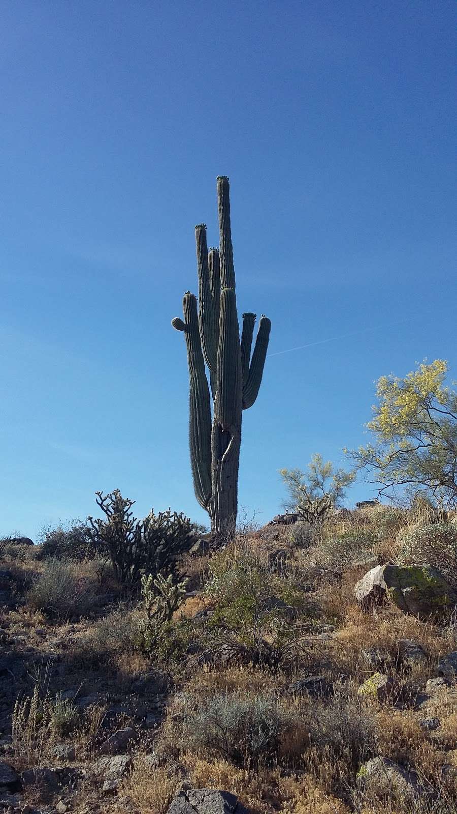 Observation Point | Scott Ridge Trail, Phoenix, AZ 85042, USA