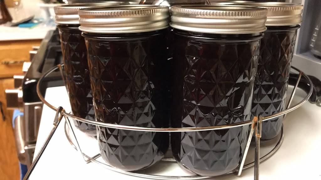 Teri’s Elderberry Syrup | 6435 N 105th St, Omaha, NE 68134 | Phone: (402) 651-5070