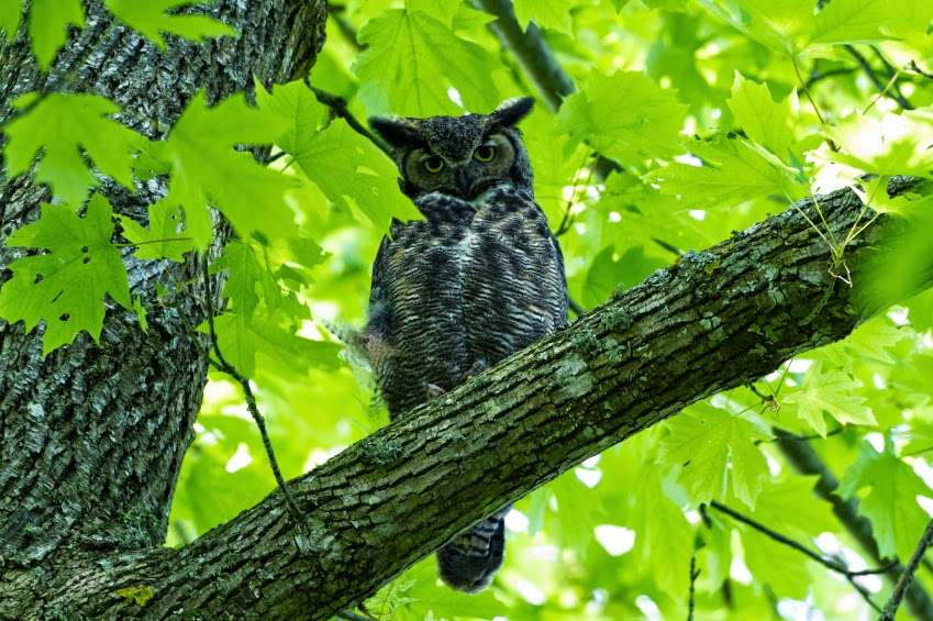 Veristat | 118 Turnpike Rd Suite 200, Southborough, MA 01772, USA | Phone: (508) 429-7340