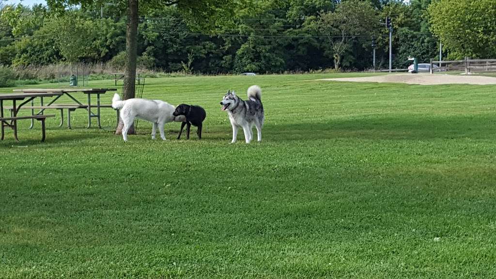 Duck Farm Dog Park | 21201 Grand Ave, Lake Villa, IL 60046, USA | Phone: (847) 367-6640