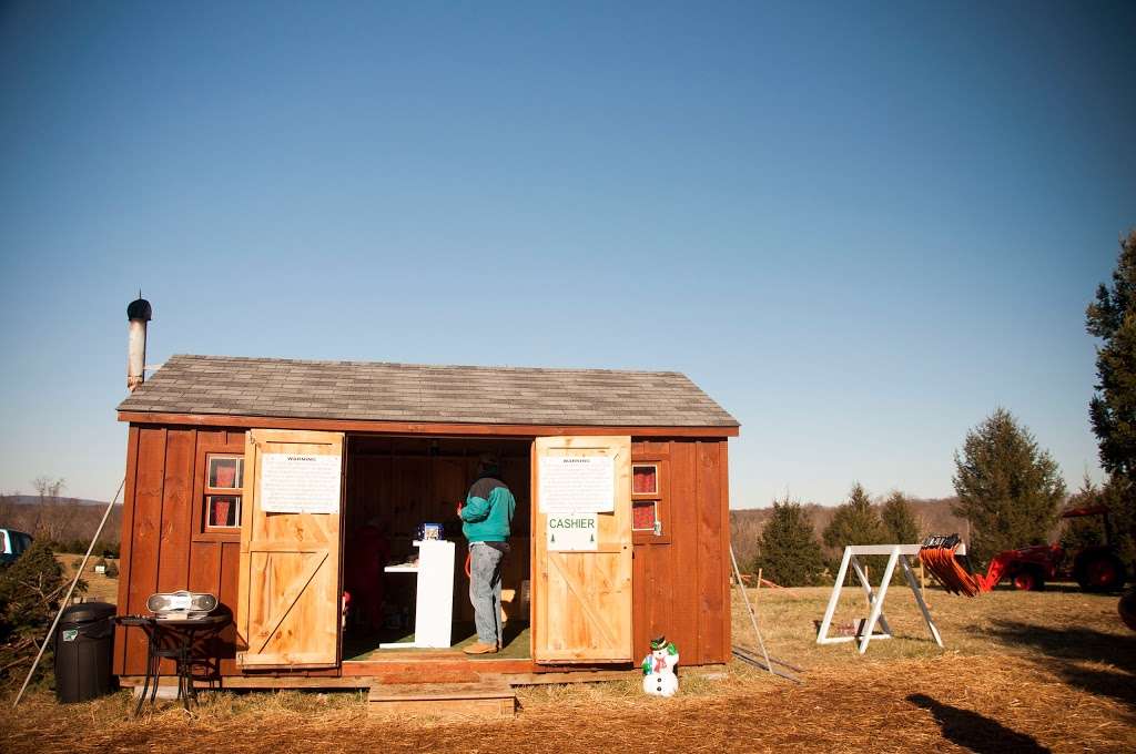 Middleburg Christmas Tree Farm Christmas Tree Ln Round Hill Va 20141 Usa