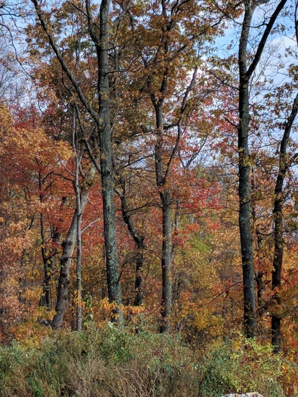 Appalachian Trail - Fox Gap | Appalachian Trail, Bangor, PA 18013