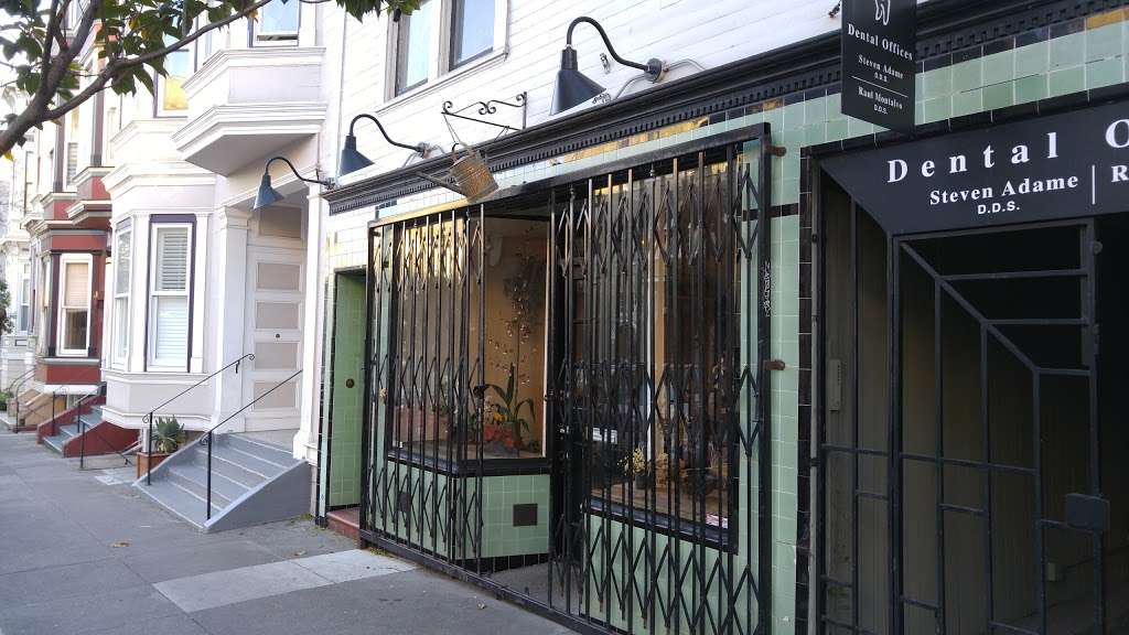 The Petaler | 773 14th St, San Francisco, CA 94114, USA | Phone: (415) 335-2205