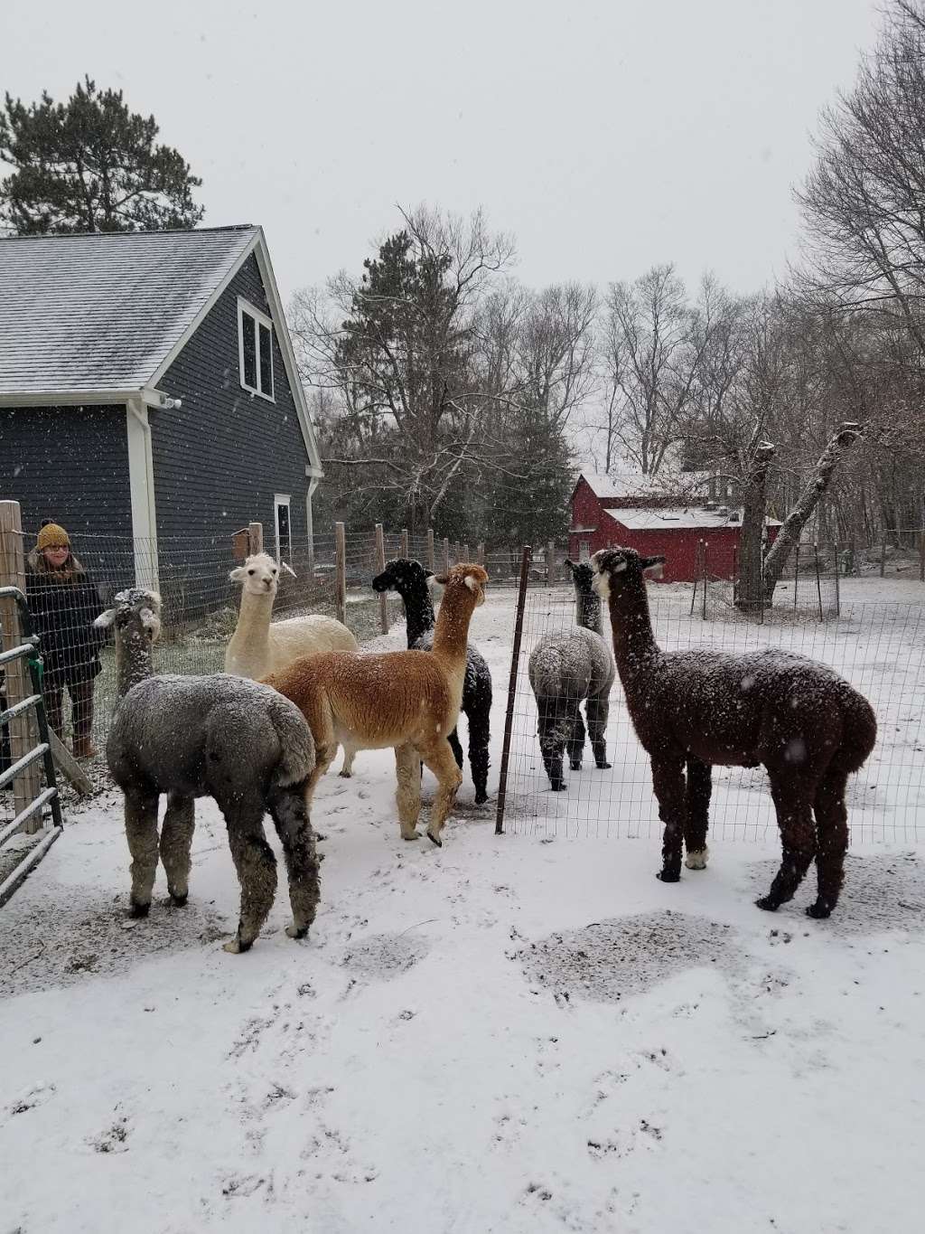 Quisset Wildlife Management Area - Parking Lot | Quisset Rd, Mendon, MA 01756