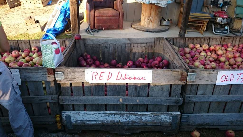 Roy’s Farm Market | 64 Old Hollow Rd, Sperryville, VA 22740, USA | Phone: (540) 987-8636 Roy’s Farm Market | 64 Old Hollow Rd, Sperryville, VA 22740, USA | Phone: (540) 987-8636