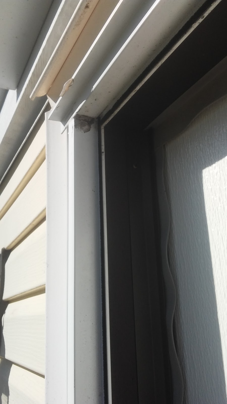 Young Terrace | 6024 Circle Dr, Hurlock, MD 21643, USA | Phone: (410) 943-6004