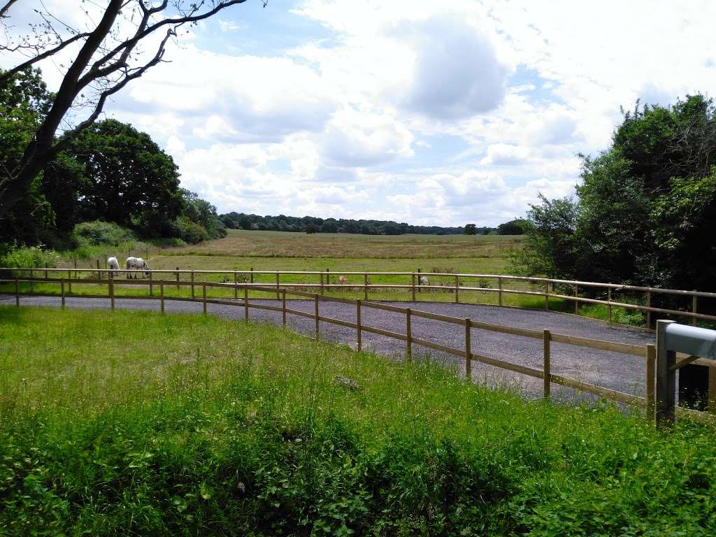 Epsom Common Car Park | Epsom, Ashtead KT18 7FB, UK