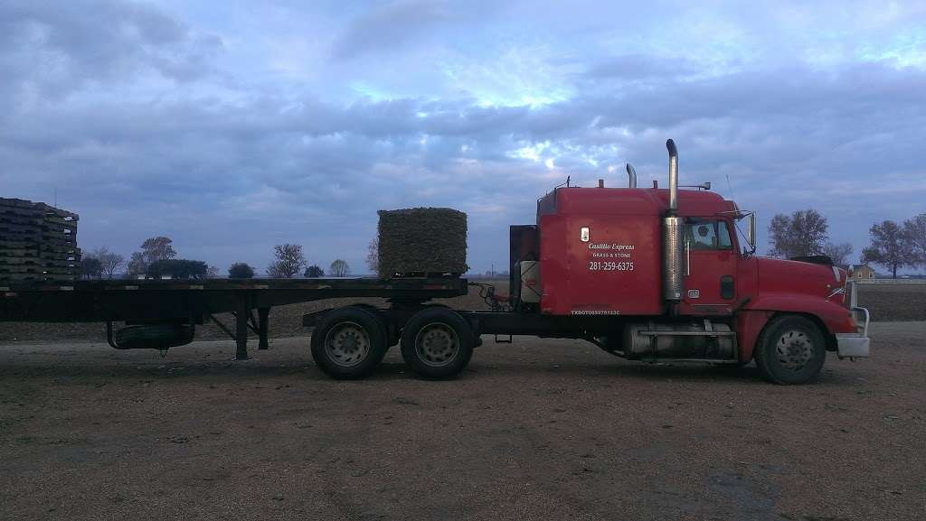 Castillo Grass | 37219 FM 1774, Magnolia, TX 77355, USA | Phone: (281) 259-6375