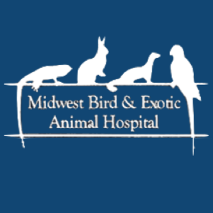Midwest Bird & Exotic Animal Hospital | 7510 W North Ave, Elmwood Park, IL 60707, USA | Phone: (708) 457-7151