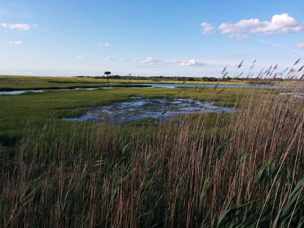 Spizzle Creek Bird Blind | Spizzle Creek Bird Blind Trail, Lanoka Harbor, NJ 08734 | Phone: (732) 830-1835