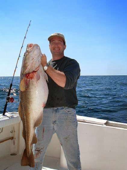 Sweet Dream Sport Fishing Charters | 75 Essex Ave, Gloucester, MA 01930, USA | Phone: (617) 803-1197