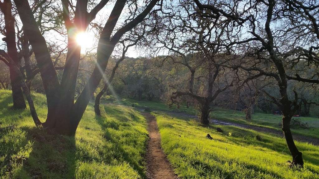 Boy scout ceremony held at the park. Skyline Wilderness Park 2201 Imola Ave, Napa, CA 94559