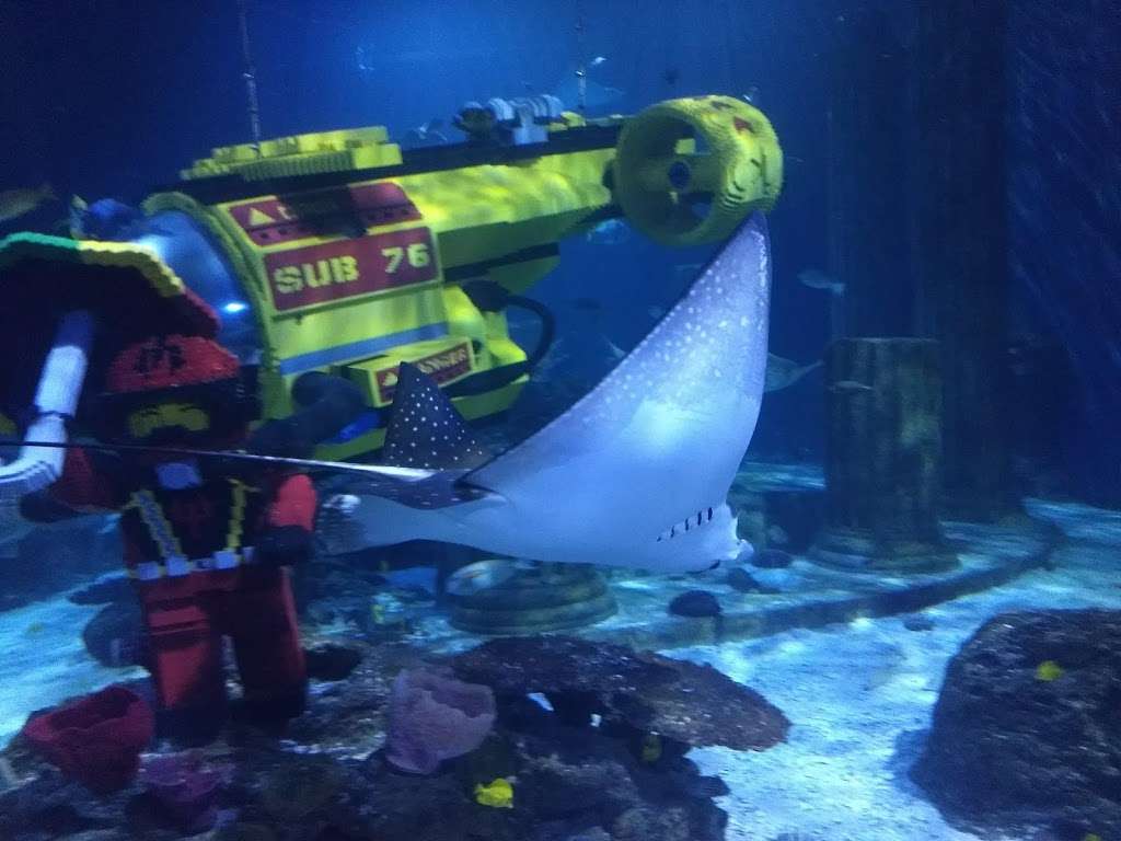 SEA LIFE Aquarium | LEGOLAND California Resort, 1 Legoland Dr, Carlsbad, CA 92008, USA | Phone: (760) 918-5346