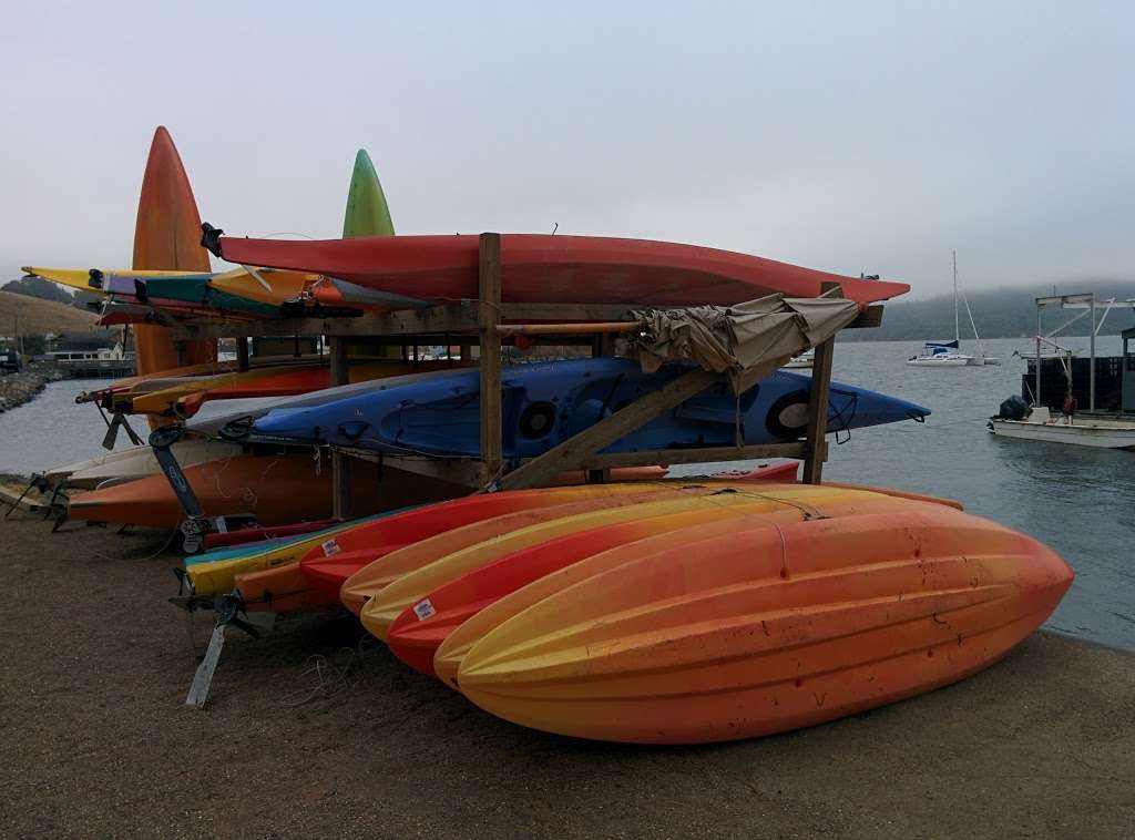 Blue Waters Kayaking Office (NO TOURS or RENTALS MEET HERE) | 60 4th St, Point Reyes Station, CA 94956, USA | Phone: (415) 669-2600