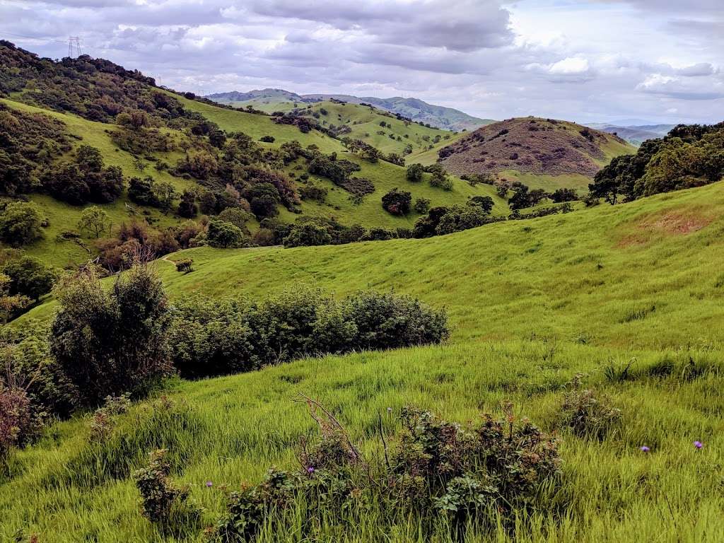 Coyote Valley Open Space Preserve | 550 Palm Ave, Morgan Hill, CA 95037, USA | Phone: (408) 224-7476