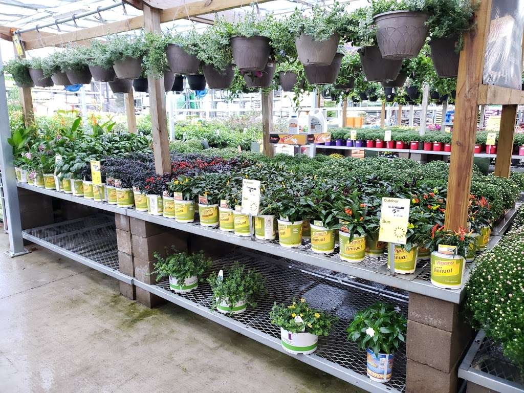 Garden Center at The Home Depot | 8400 Katy Fwy, Houston, TX 77024, USA | Phone: (713) 984-2741