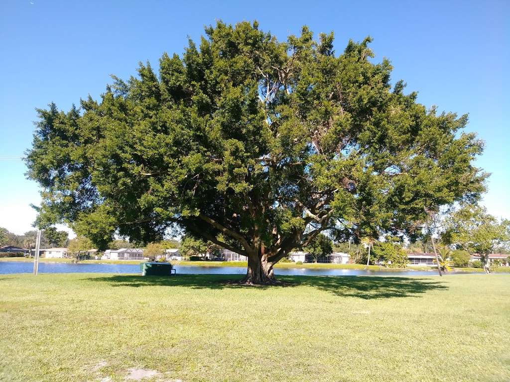 Fig Tree Park | 620 S Fig Tree Ln, Plantation, FL 33317, USA | Phone: (954) 797-2200